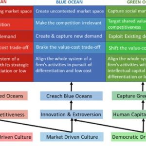 2011-Blue-Ocean-strategies-evolution-and-relationships_Q320